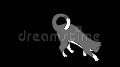 猫探索和跳跃与恐惧卡通动画。 带有alpha通道的HDmov文件。 黑色背景是透明的